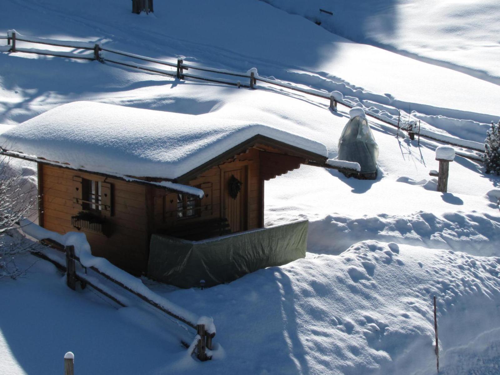 Haus Wallinger Abtenau Dış mekan fotoğraf