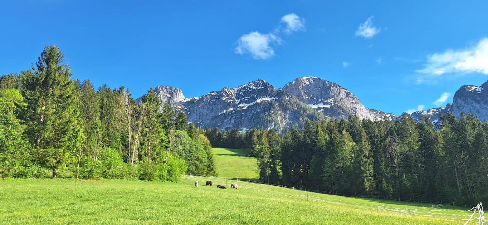 Haus Wallinger Abtenau Dış mekan fotoğraf