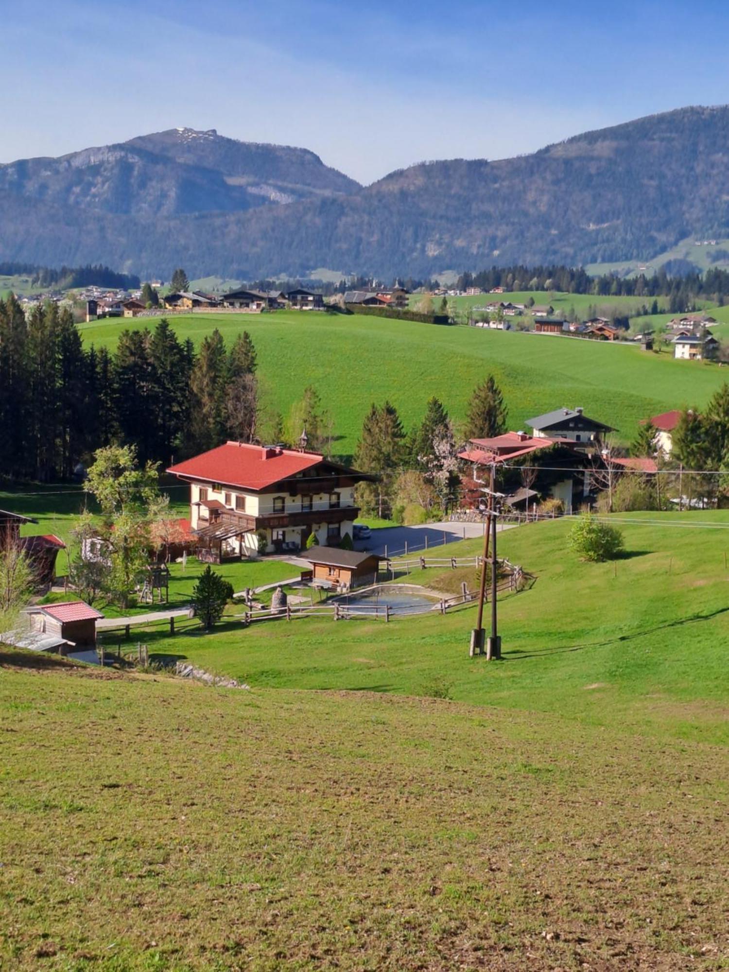 Haus Wallinger Abtenau Dış mekan fotoğraf