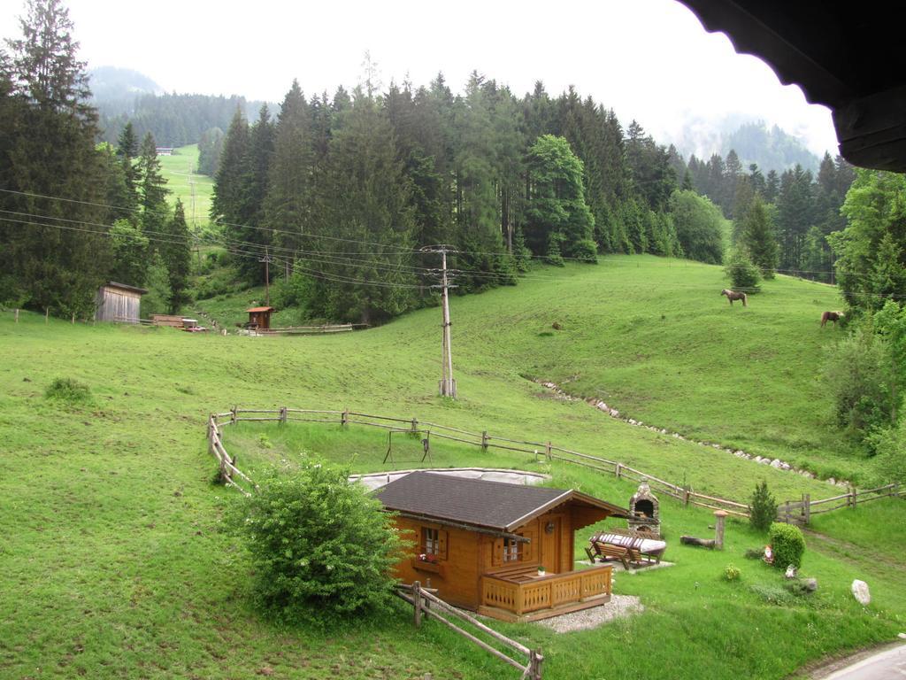 Haus Wallinger Abtenau Dış mekan fotoğraf